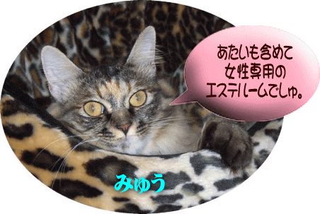 みゅう「アタイも含めて女性専用のエステルームでしゅ。」